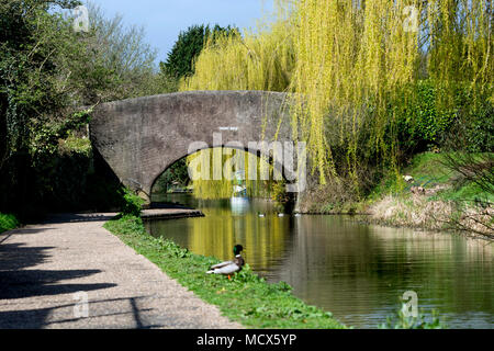 Dicken`s Bridge on the Birmingham and Fazeley Canal, Minworth, West Midlands, UK Stock Photo